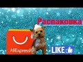 Распаковка посылок с AliExpress для собаки // Товары для собак из Китая