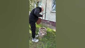 In search of a trophy | Andrius Klimka - Trophy