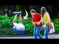 FUNNY Fart Prank in NYC! FALLING FART!