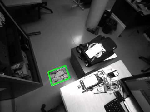Pose estimation by visuo-inertial data fusion