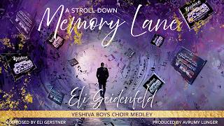 Eli Seidenfeld | Yeshiva Boys Choir Medley | (Official Audio) Simcha Seidenfeld Simcha Official Audio