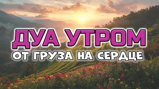 ДУА УТРОМ ЛЕГКОСТЬ, СВОБОДА И ИЗБАВЛЕНИЯ ОТ ТЯЖЕСТИ! 🤲✨