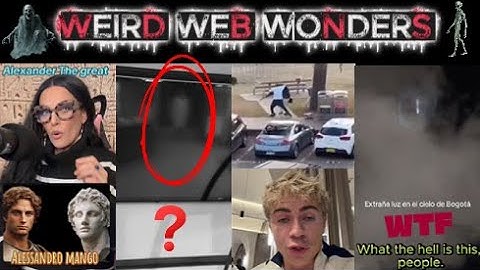 weird web wonders vol 77