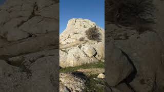 Manzara Snap Murat Nehri