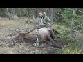 Archery Elk Hunt "Big Papi" DIY Public Land