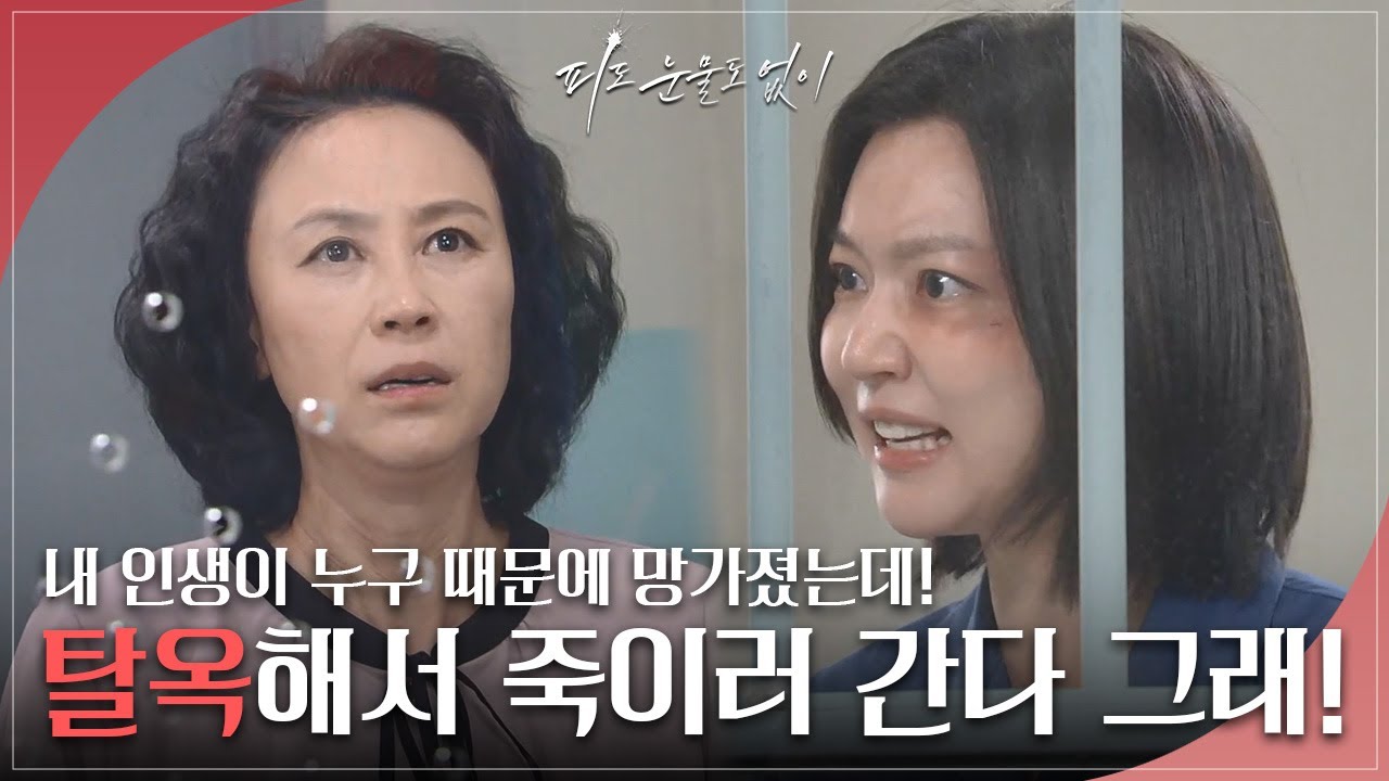 “ 탈옥해서 죽이러 간다 그래! ” 자신의 인생이 망한 것이 이소연 때문이라는 하연주 [피도 눈물도 없이/The Two Sisters] | KBS 240614 방송