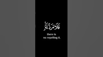 #تلاوة_خاشعة #اكسبلور #القران #quran #لايك #راحة_نفسية #مشاريالعفاسي