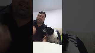 Aunque no tengas un solo peso! Tu perro siempre va a querer estar a tu lado ❤️🐾