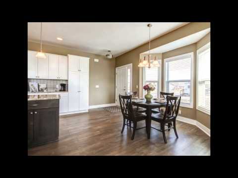 11569 South Lake Dr, Holland, MI home video tour