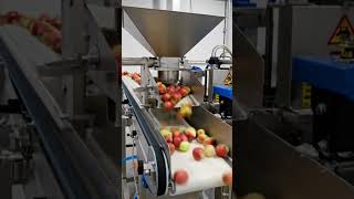 Inside the High-Tech Apple Juice Factory: Full Process (2026Tecnology