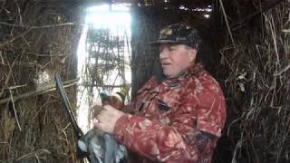 Очень удачная охота после пустого открытия. Весна 2019 день третий Очень удачная охота после пустого открытия. Весна 2019 день третий
