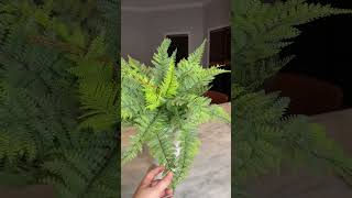 Obsessed with my nearly natural ferns, they look so realistic #nearly...