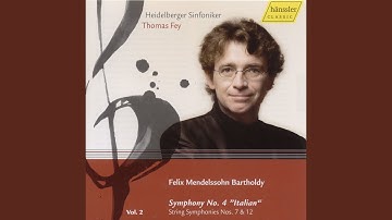 Sinfonia No. 7 in D Minor, MWV N7: IV. Allegro molto