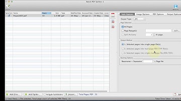 Batch PDF Splitter - Split batch PDF files into images