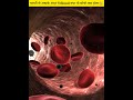 गलती से आपके अंदर ये Blood गया तो सोचो क्या होगा😲#shorts #facts