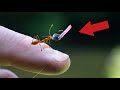 Worlds SMALLEST Fishing Lure! What Will it Catch?! (BIG FISH)