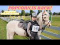 Popcorn is back first jumping show