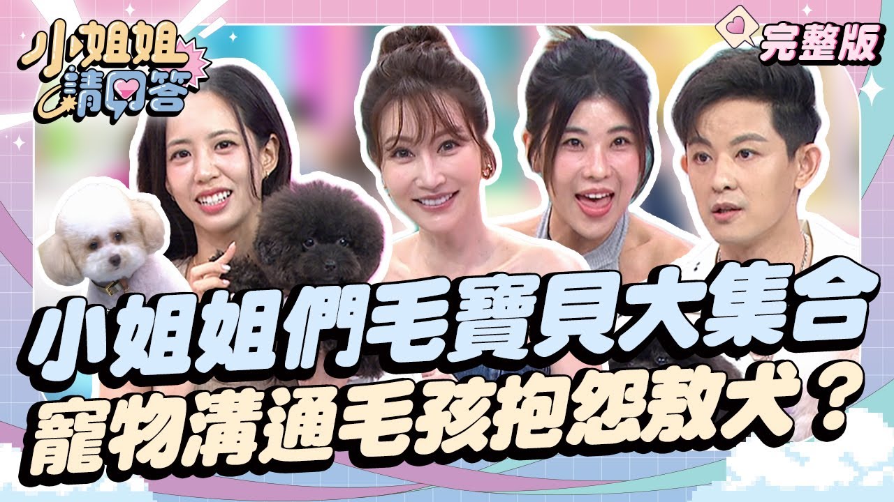 小姐姐們毛寶貝大集合！寵物溝通毛孩抱怨敖犬？ 小姐姐請回答 20240816 (完整版)｜敖犬、潘映竹、荳荳、王敏淳、木星、姜姜
