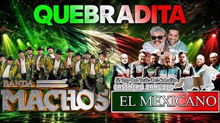 Quebradita 90s Inolvidables | Banda Machos vs Mi Banda El Mexicano Mix