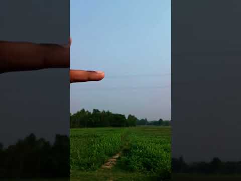 Wait for end #shortvideo #instagram #hindisong  #vlogger #ytshorts #funnyvideo #funny #shorts
