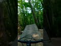 Брюховичі bike park