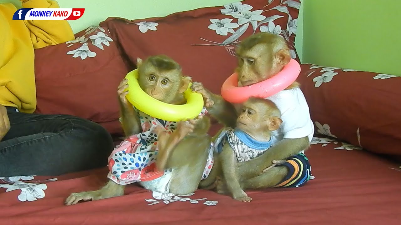 Tiny Baby Olly Looking Brother Kako And Sister Luna Wear Ring Toys