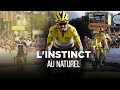 Julian alaphilippe  le hros dune nation documentaire