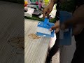 Video Image