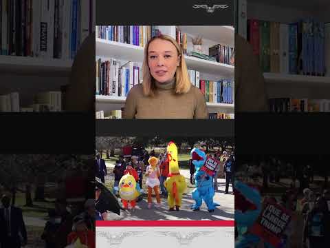 گزارش ویژه وجه اشتراک اعتراضات خیابانی با جنبش های رادیکال ثروتمند چیست