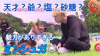 【防弾少年団/BTS】この方はいくつの顔を持っているのでしょうか？ミンシュガモーメント🐭【日本語字幕】