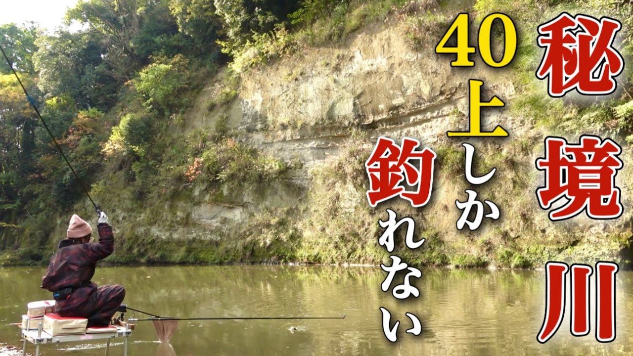 房総半島山奥の河川。40オーバーしか釣れない巨ベラの溜まり場に挑戦【小櫃川】