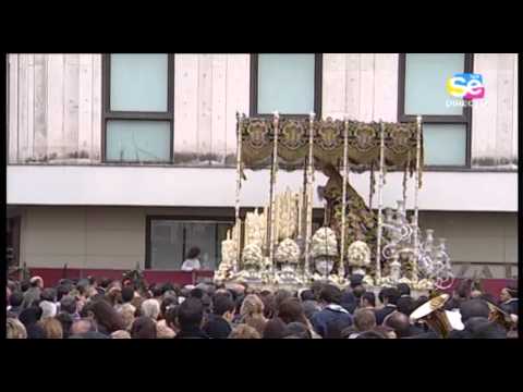 Pontificia, Real, Muy Ilustre y Trinitaria Hermandad Sacramental y Archicofradía de Nazarenos del Sagrado Decreto de la Santísima Trinidad, Santísimo Cristo de las Cinco Llagas, María Santísima de la Concepción, Nuestra Señora de la Esperanza Coronada y San Juan Bosco