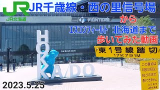 JR西の里信号場＠千歳線からエスコンフィールド北海道まで歩いてみた動画