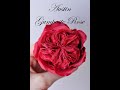 David Austin Gumpaste Rose tutorial. Роза Остина из мастики