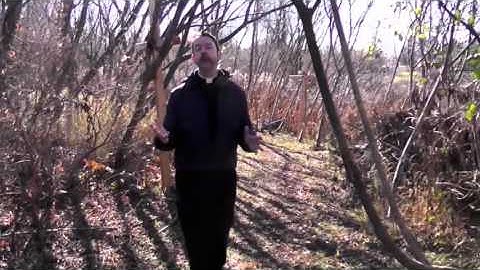 St. Ambrose Parish - Advent 2015: Prepare the Way (week 2)