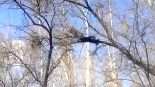 Серёжа, не надо! Серёжа, не надо!