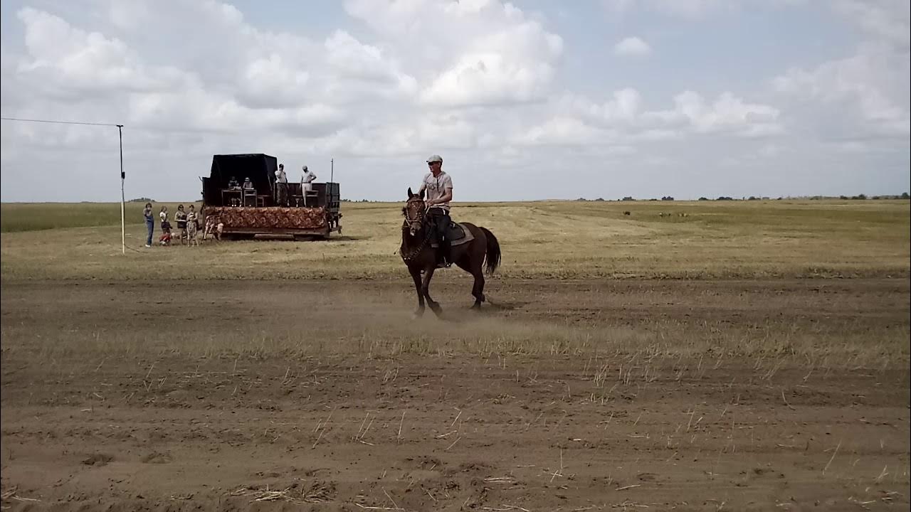 Погода алтайский край устьянка локтевский. Устьянка Алтайский край Локтевский район. Село Покровка Алтайский край Локтевский район. Село локоть Алтайский край Локтевский район. Село Георгиевка Алтайский край.