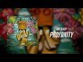 Shy Glizzy - Profanity (Official Audio)