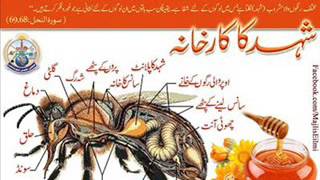 Kalah Kon Kaang Tho Bole Sajhan Endo Allahy By Leemo Faqeer And Janan Faqeer Sindhi Molood Shareef