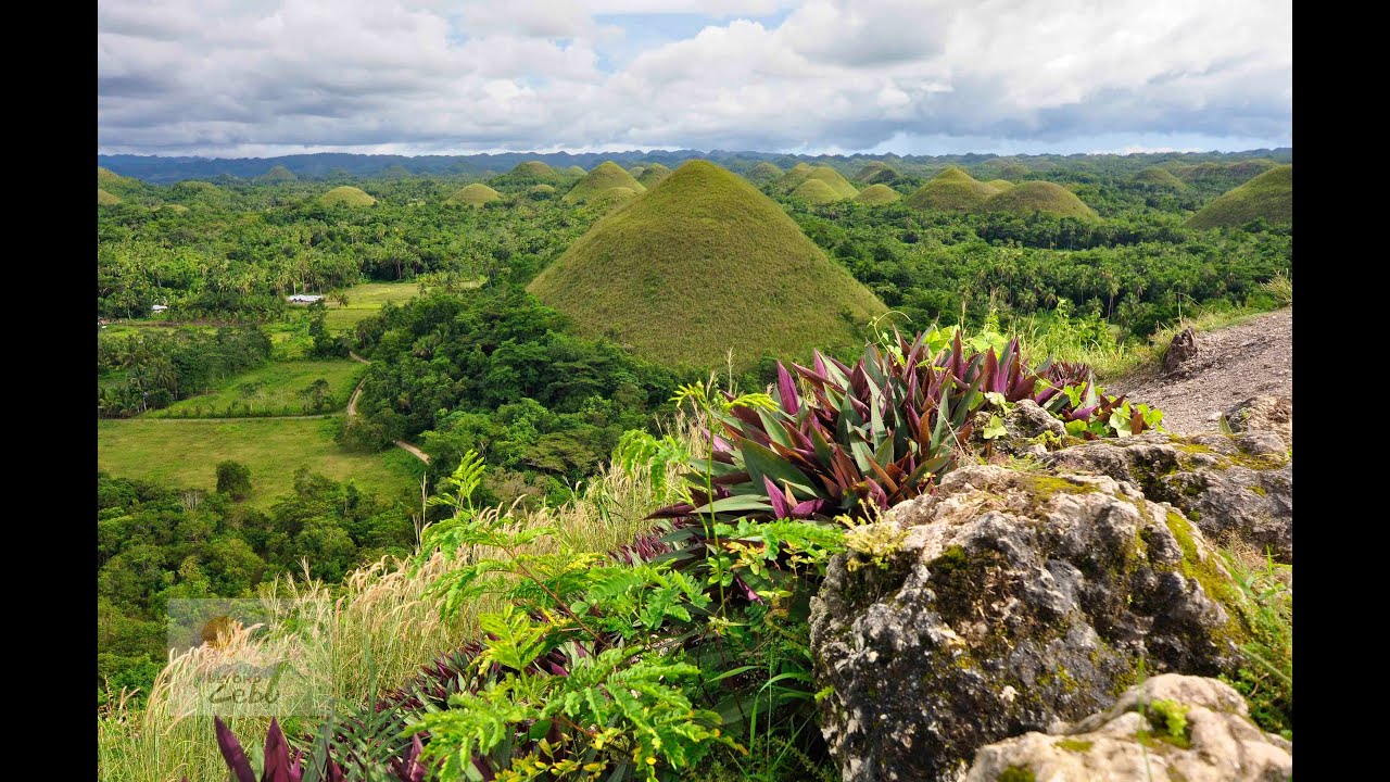 Tour Bohol Philippines - See the tourist attractions of Bohol