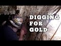 Working In A Gold Mine - What is it like? What do we find? We go to work to find out.
