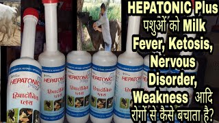 HEPATONIC Plus पशुओं में Milk fever, Ketosis, Nervous Disorder, Chronic illness रोगों से कैसे बचाता
