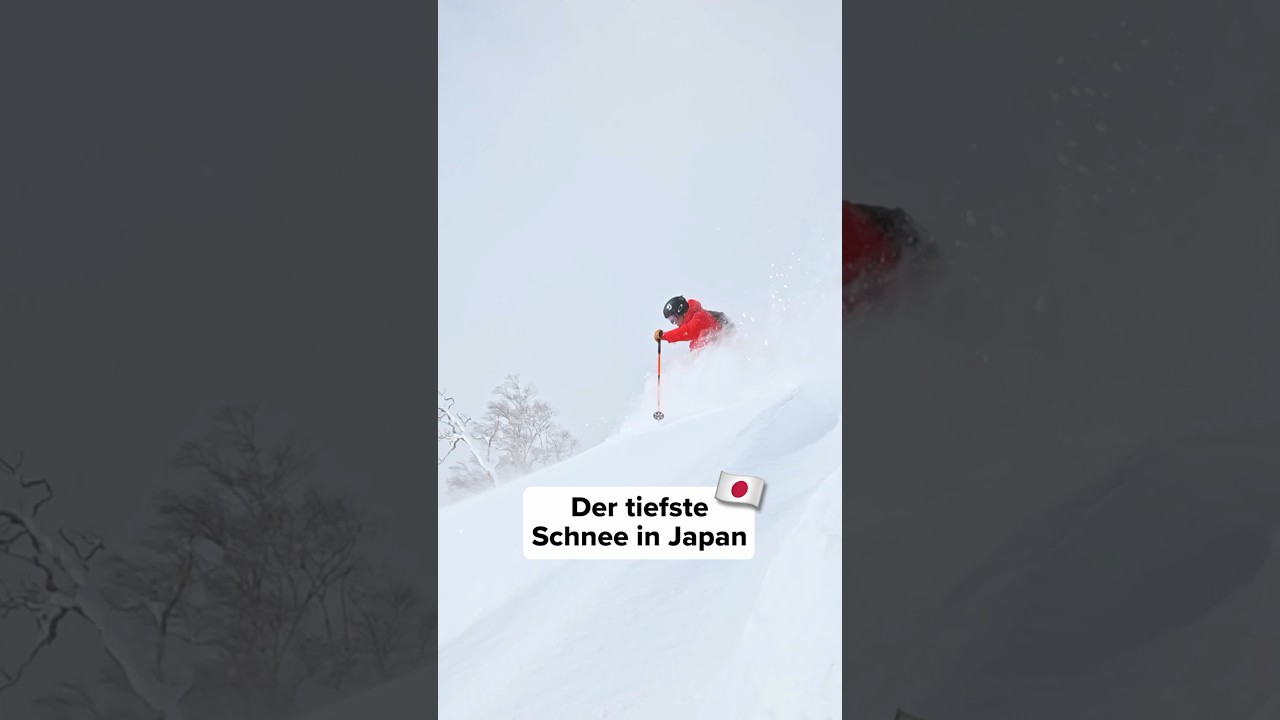 JAPOW vom Feinsten 🇯🇵 Wer soll mit?!