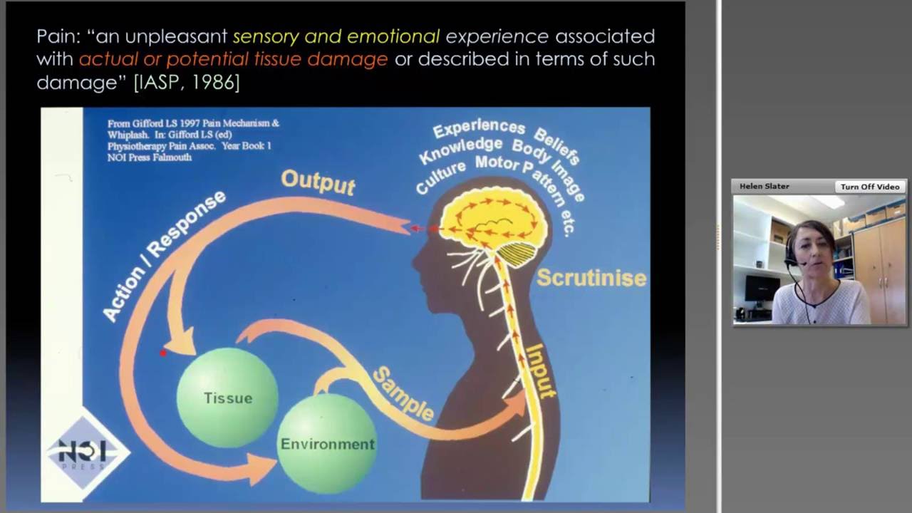 The Management of Persistent Musculoskeletal Pain - YouTube