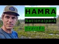 Hamra nationalpark  svartn