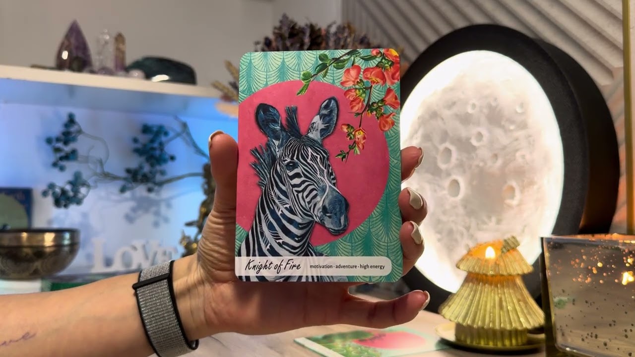 Поток о нем на новой колоде 🤍