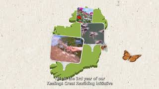 Keelings Great Rewilding 2023