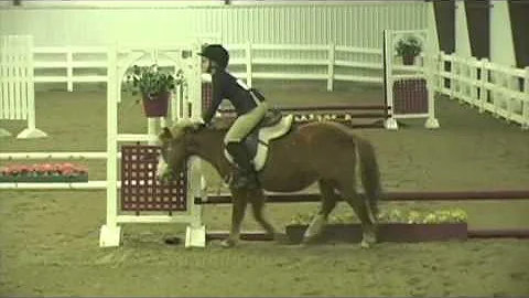 18 Inch Hunters Fannie Fails