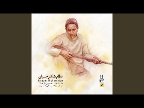 امی دتر جان 