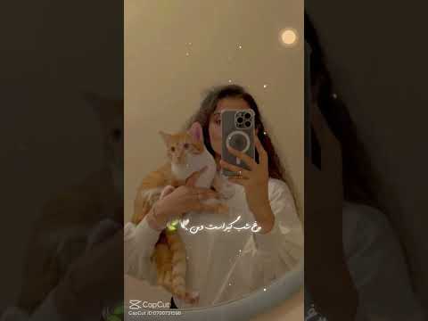 عاشقانه Song سربان دیگران سر مست و در آغوش جانان خفته اند 